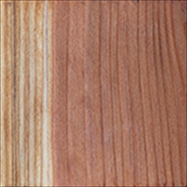 california-redwood-150b.jpg