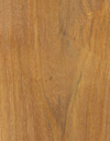 Teak Stain