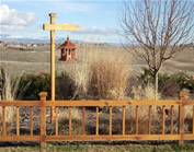 Aviary Oasis Bird Feeders