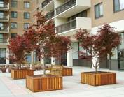 Napa Planters