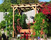 Small Pergolas