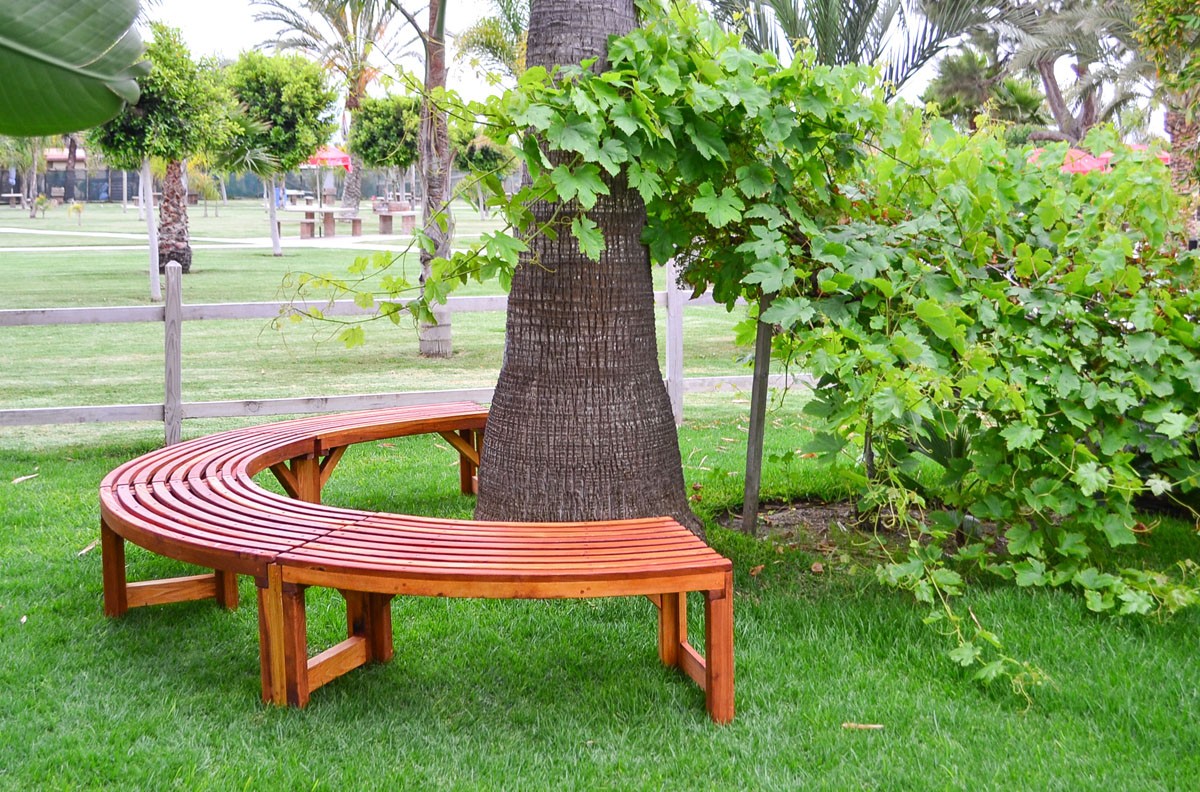 The Miramar Tree Benches, Built to Last Decades Forever