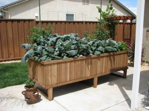 Veggies galore! Thanks to Nan for sharing this photo.