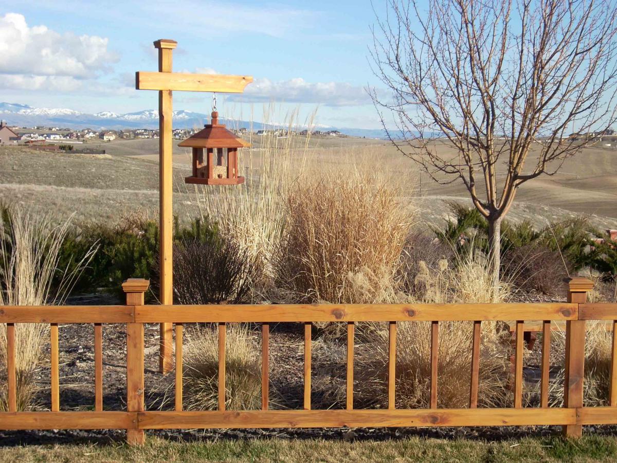 Aviary Oasis Bird Feeders