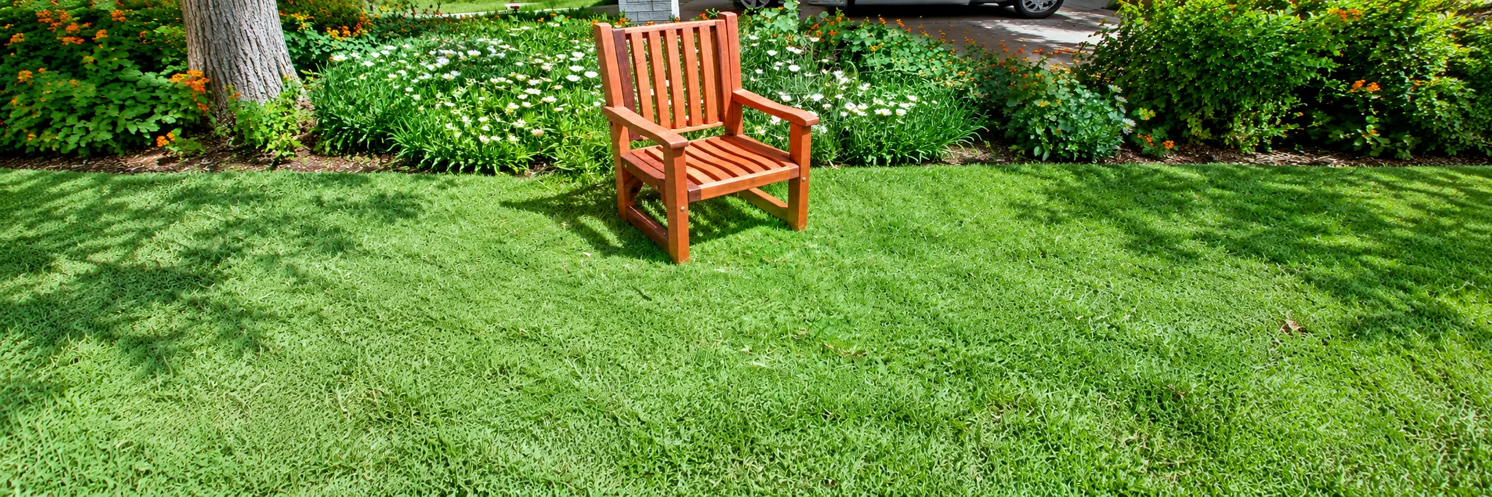 Ruth Redwood Dining Chair