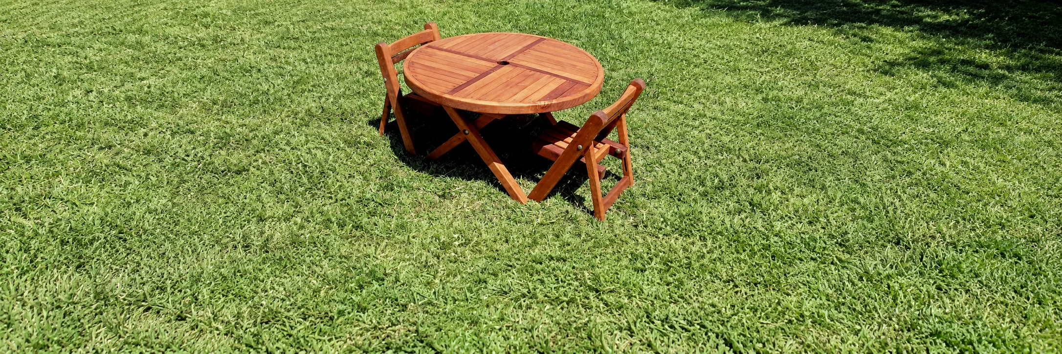 Round Folding Wood Table for Kids
