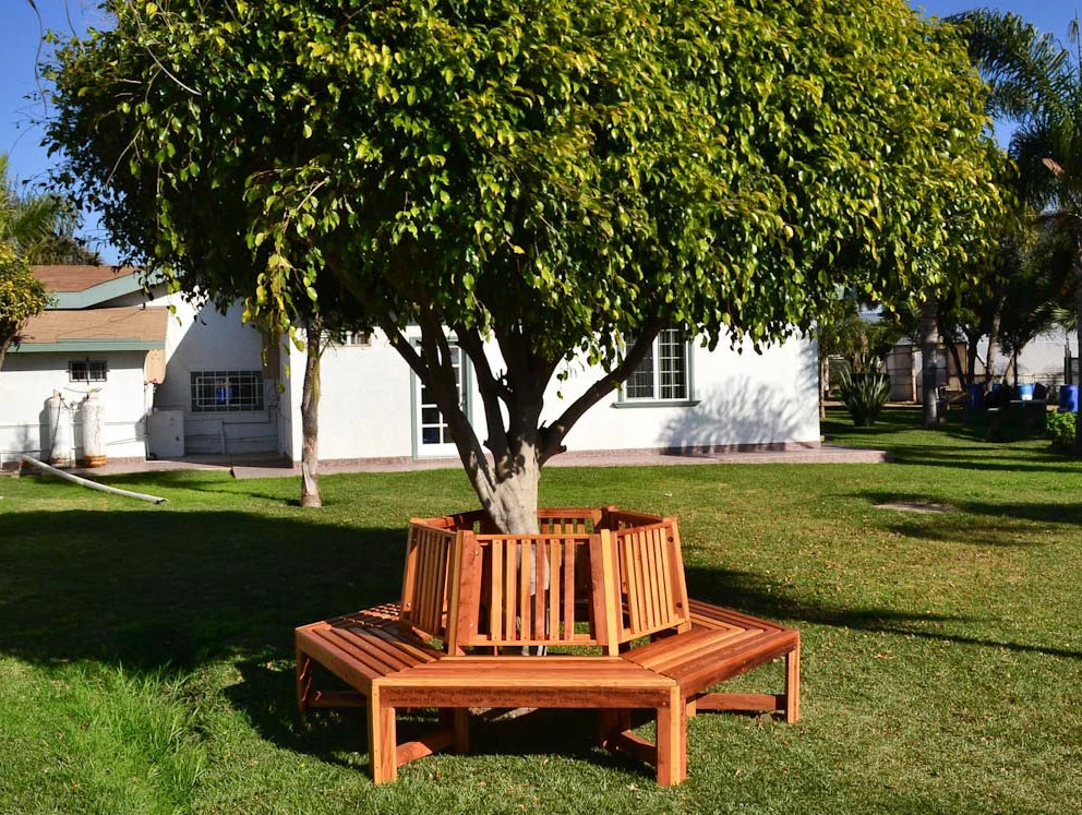 Memorial Natural Redwood Tree Bench