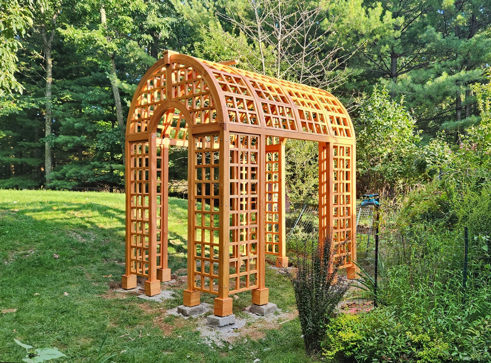 Victorian Trellis