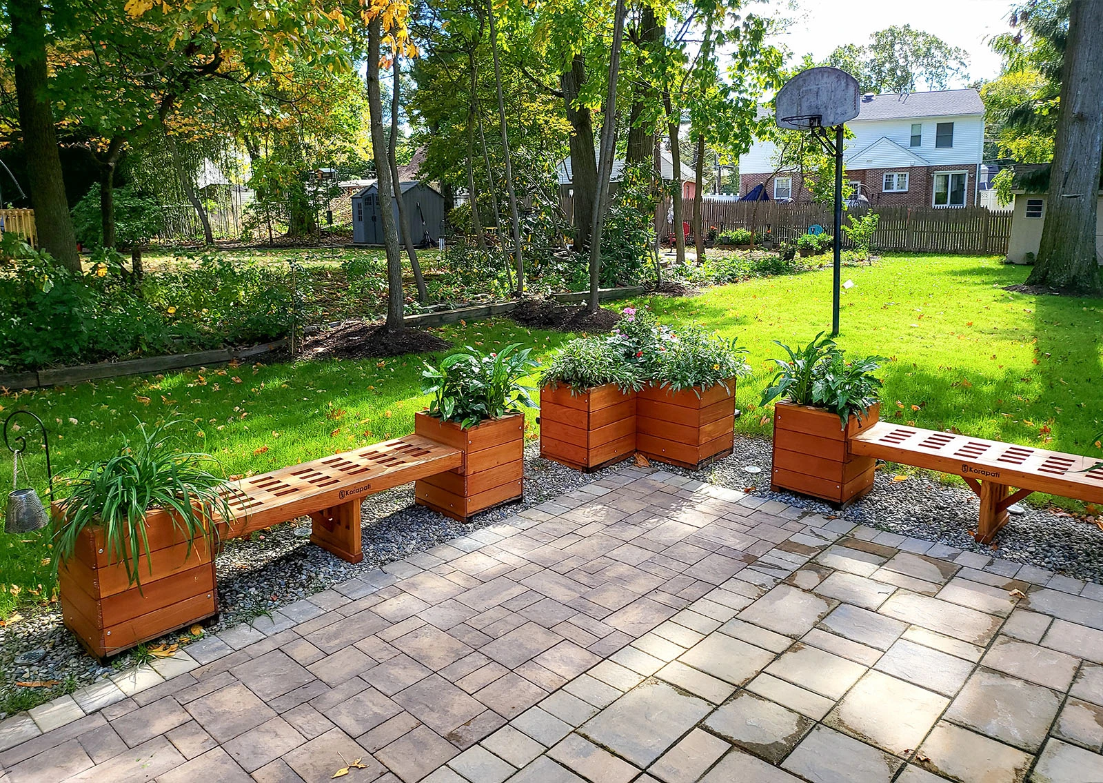 Specialty Planters