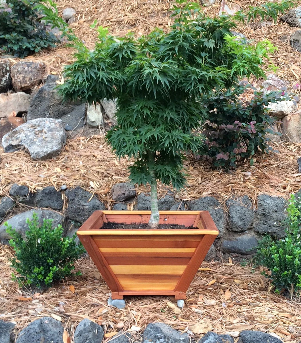 Tapered Planters