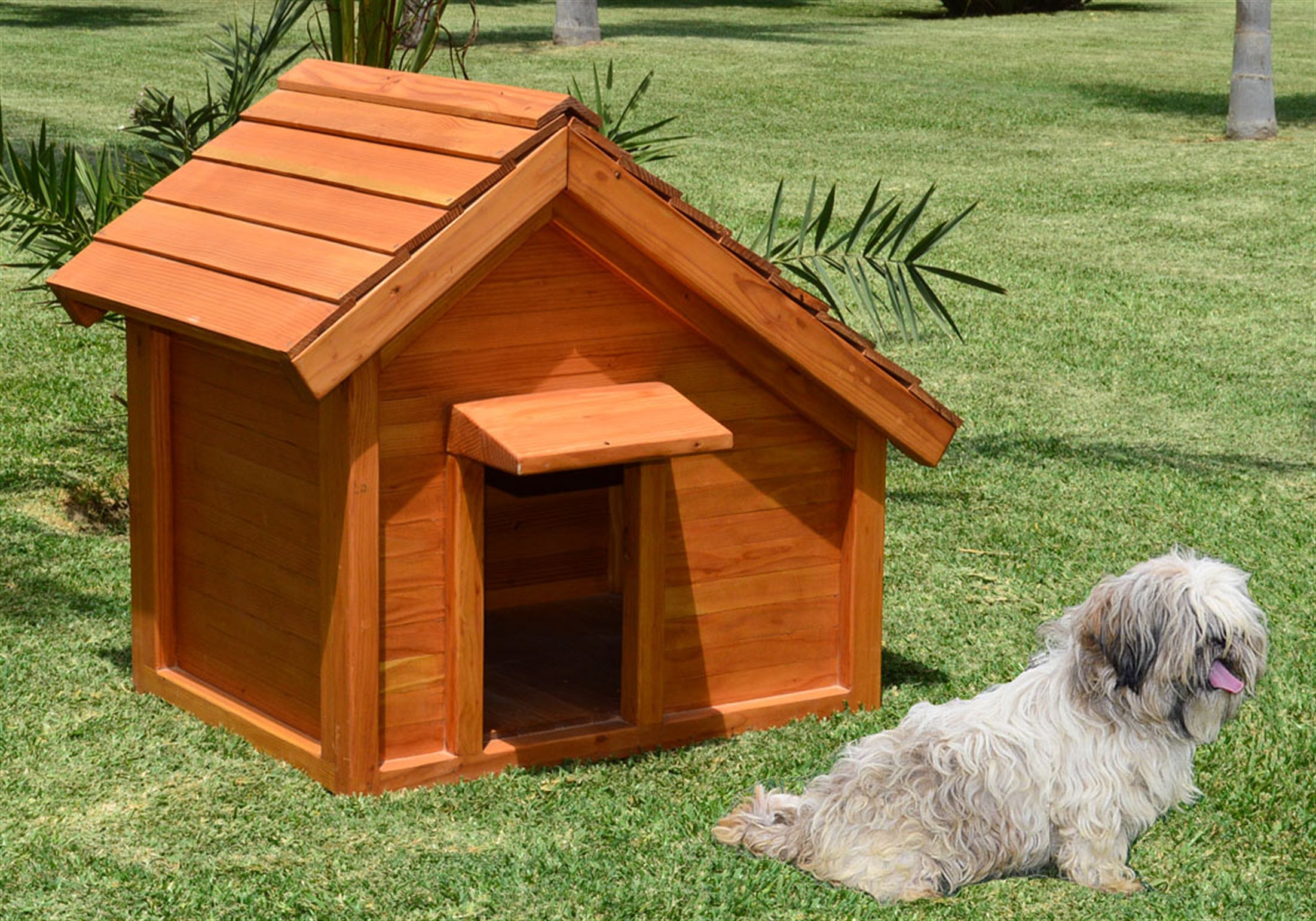 For Your Pets