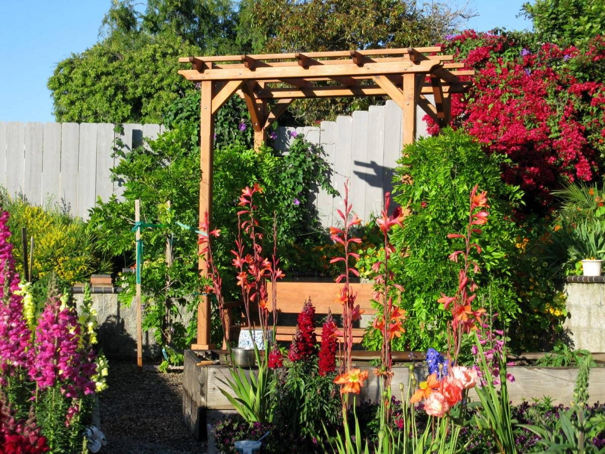Small Garden Pergola Kit