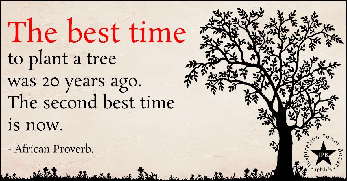 The best time to plant a tree was 20 years ago. The second best time is now.