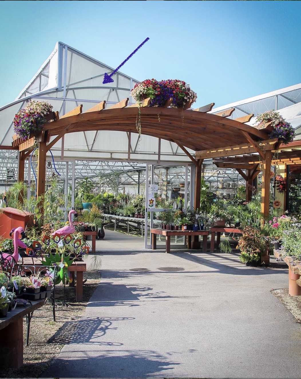 Our engineers matched the pergola roof with the curved greenhouse roof.