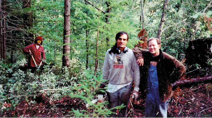 Raul and Frank culling trees