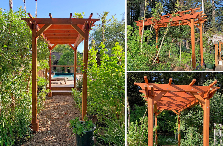 Small Garden Pergola Kit