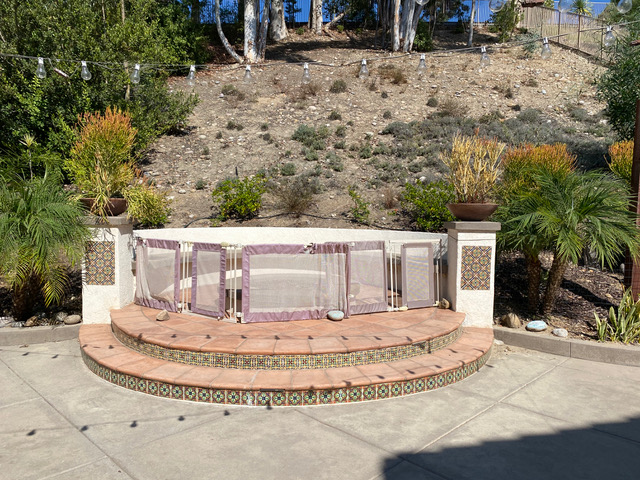 Backyard with firepit before Leah Cartwright of Viva Designs worked her magic.