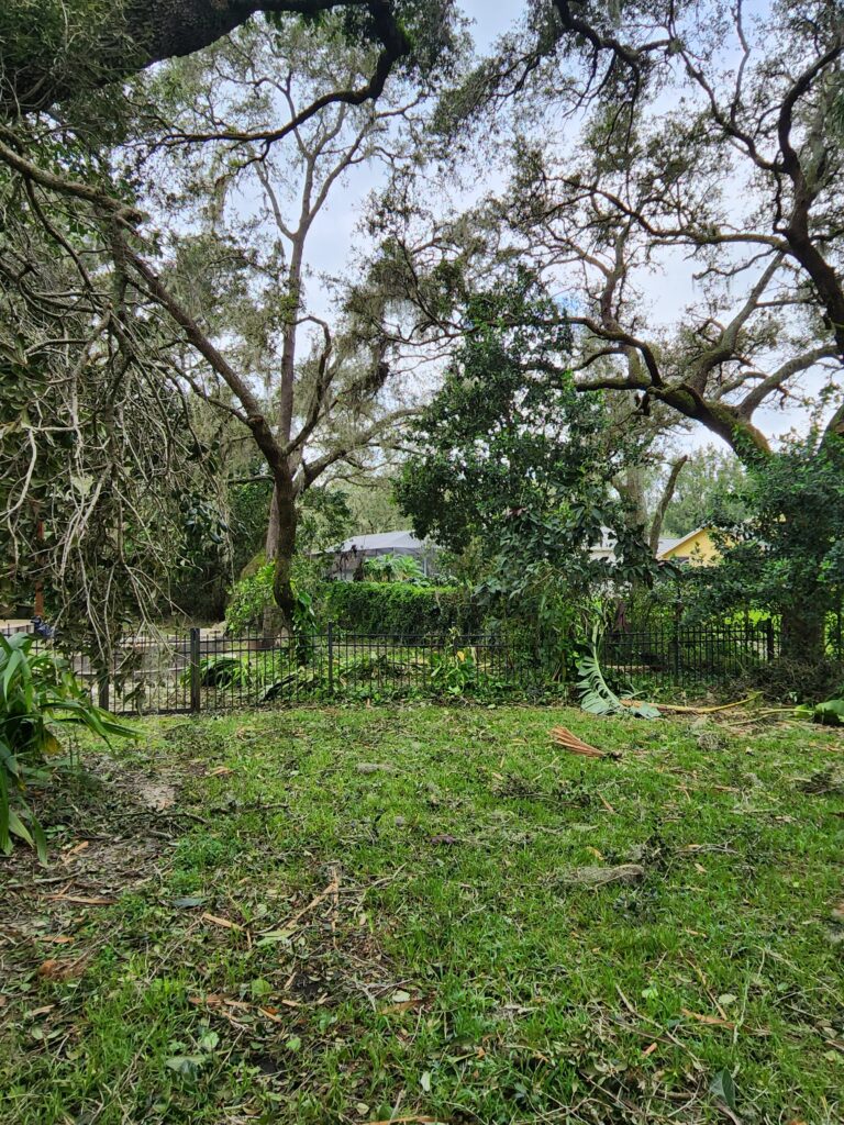 Elena and Derek’s yard after Hurricane Ian.