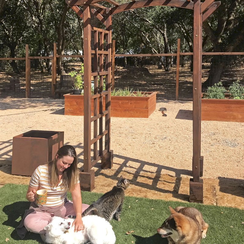 Arched Garden Arbor (Options: 48" W x 36" D, Old-Growth Redwood, No Anchor Kit, Transparent Premium Sealant). Photo taken 5 years after installation. Photo Courtesy of A. Linney of Alameda, California. Arched Garden Arbor (Options: 48" W x 36" D, Old-Growth Redwood, No Anchor Kit, Transparent Premium Sealant). Photo taken 5 years after installation. Photo Courtesy of A. Linney of Alameda, California.