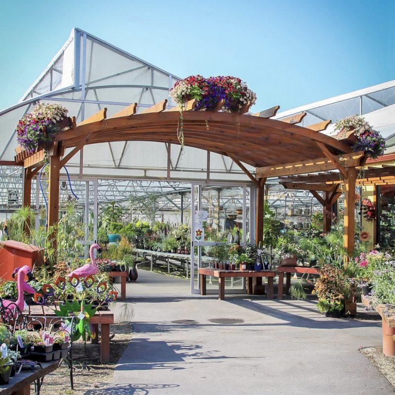 Arched Open Sky Pergolas (Options: 15' L x 18' Arc W - Left, 8' L x 10" Arc W - Right, Mature Redwood, Unattached, Transparent Premium Sealant). Photo Also Shows a Custom Arbor Between the 2 Arched Pergolas. Photo Courtesy of Caras Nursery and Landscape Arched Open Sky Pergolas (Options: 15' L x 18' Arc W - Left, 8' L x 10" Arc W - Right, Mature Redwood, Unattached, Transparent Premium Sealant). Photo Also Shows a Custom Arbor Between the 2 Arched Pergolas. Photo Courtesy of Caras Nursery and Landscape