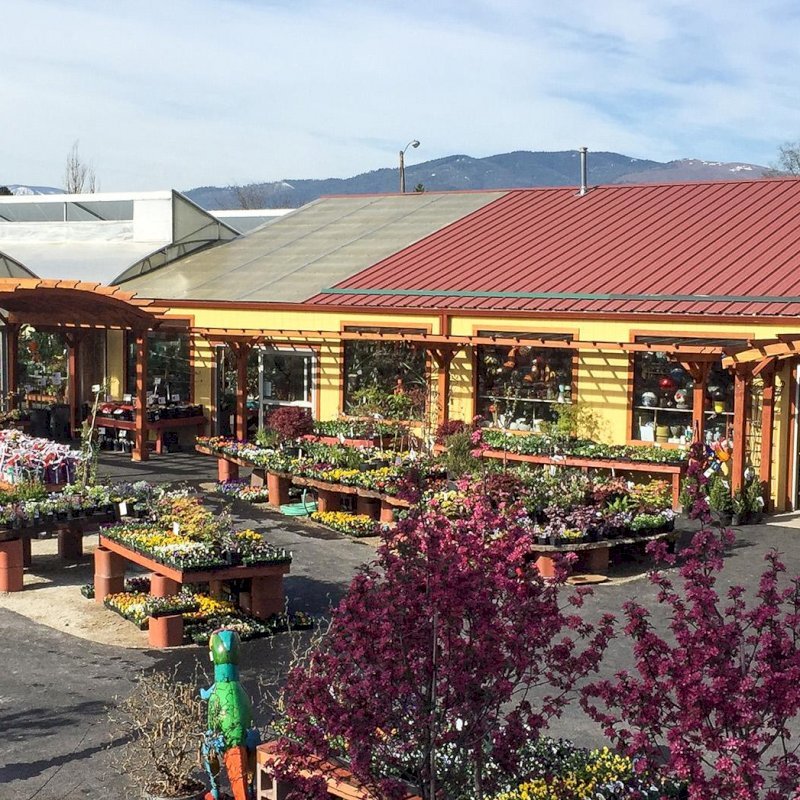 Arched Open Sky Pergolas (Options: 15' L x 18' Arc W - Left, 8' L x 10" Arc W - Right, Mature Redwood, Unattached, Transparent Premium Sealant). Photo Also Shows a Custom Arbor Between the 2 Arched Pergolas. Photo Courtesy of Caras Nursery and Landscape Arched Open Sky Pergolas (Options: 15' L x 18' Arc W - Left, 8' L x 10" Arc W - Right, Mature Redwood, Unattached, Transparent Premium Sealant). Photo Also Shows a Custom Arbor Between the 2 Arched Pergolas. Photo Courtesy of Caras Nursery and Landscape