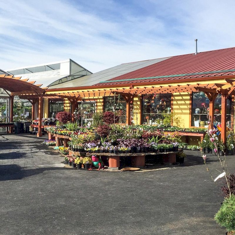 Arched Open Sky Pergolas (Options: 16' L x 16' Arc W - Left, 8' L x 10" Arc W - Right, Mature Redwood, Unattached, Transparent Premium Sealant). Photo Also Shows a Custom Arbor Between the 2 Arched Pergolas. Photo Courtesy of Caras Nursery and Landscape Arched Open Sky Pergolas (Options: 16' L x 16' Arc W - Left, 8' L x 10" Arc W - Right, Mature Redwood, Unattached, Transparent Premium Sealant). Photo Also Shows a Custom Arbor Between the 2 Arched Pergolas. Photo Courtesy of Caras Nursery and Landscape