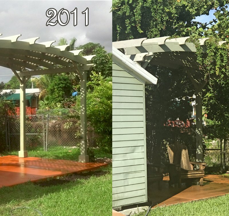 Arched Pergola Kits (Options: 10' L x 20' Arc W, California Redwood, Unattached, Electrical Wiring Trim Kit for 2 posts, Arched Roof with Lattice Panels, 4 Post Anchor Kit for Stone, No Ceiling Fan Base, No Privacy Panels, No Curtain Rods, 9' Post Height, White Primer Option). This pergola was assembled and painted in S. Florida in 2011. The 2017 photo shows how the paint has mostly held up without any maintenance. It is shown here so customers in tough weather areas that chose to paint their shade structures have a good idea how long the paint will hold up before needing retouching (6 to 8 years). Arched Pergola Kits (Options: 10' L x 20' Arc W, California Redwood, Unattached, Electrical Wiring Trim Kit for 2 posts, Arched Roof with Lattice Panels, 4 Post Anchor Kit for Stone, No Ceiling Fan Base, No Privacy Panels, No Curtain Rods, 9' Post Height, White Primer Option). This pergola was assembled and painted in S. Florida in 2011. The 2017 photo shows how the paint has mostly held up without any maintenance. It is shown here so customers in tough weather areas that chose to paint their shade structures have a good idea how long the paint will hold up before needing retouching (6 to 8 years).