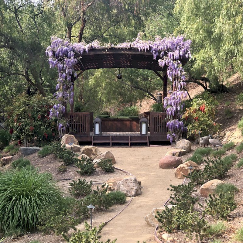 Arched Pergola Kits (Options: 18' x 18', Mature Redwood, 3 Degree Roof Slope by Custom Request, with Lattice Panels, with Deck and Railing by Custom Request, with a Bench Swing Seat). Photo taken 6 years after initial installation. Photo Also Shows a Custom Storage Bench. Photo Courtesy of Bob P. of Westlake Village, CA. Arched Pergola Kits (Options: 18' x 18', Mature Redwood, 3 Degree Roof Slope by Custom Request, with Lattice Panels, with Deck and Railing by Custom Request, with a Bench Swing Seat). Photo taken 6 years after initial installation. Photo Also Shows a Custom Storage Bench. Photo Courtesy of Bob P. of Westlake Village, CA.