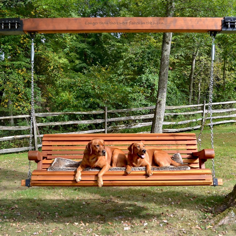 Bench Swings (Seats Only) (Options: XL Garden Bench, California Redwood, Ensenada Seat Design, Custom Engraving, Custom Heavy Duty Hinged Steel Harnesses with a 6x6 Beam, Transparent Premium Sealant). Custom Tree Rings and Beam Designed by Forever Redwood to Attach Swing to the 2 Trees. Photo Courtesy of P. Scaturro of Bedford, New York. Bench Swings (Seats Only) (Options: XL Garden Bench, California Redwood, Ensenada Seat Design, Custom Engraving, Custom Heavy Duty Hinged Steel Harnesses with a 6x6 Beam, Transparent Premium Sealant). Custom Tree Rings and Beam Designed by Forever Redwood to Attach Swing to the 2 Trees. Photo Courtesy of P. Scaturro of Bedford, New York.