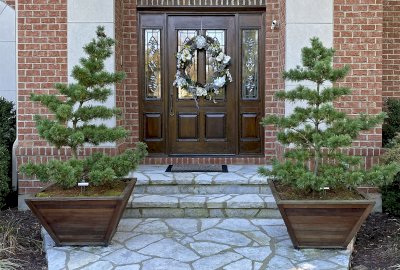 Bonsai Planters