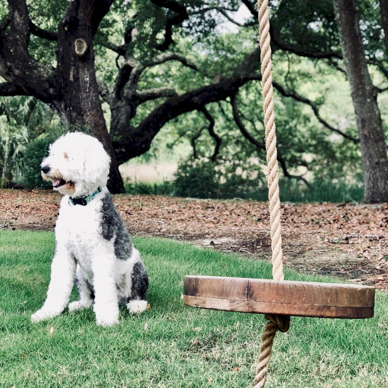 Disk Swing Seats (Options: XL Adult's 18-Inch, Mature Redwood, 1" Diameter Hole for Rope, Transparent Premium Sealant). Photo Courtesy of Gabrielle Herman of Daniel Island, South Carolina. Disk Swing Seats (Options: XL Adult's 18-Inch, Mature Redwood, 1" Diameter Hole for Rope, Transparent Premium Sealant). Photo Courtesy of Gabrielle Herman of Daniel Island, South Carolina.