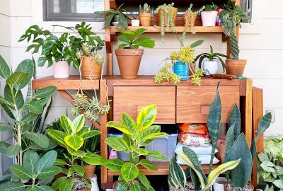 Eli's Redwood Potting Bench