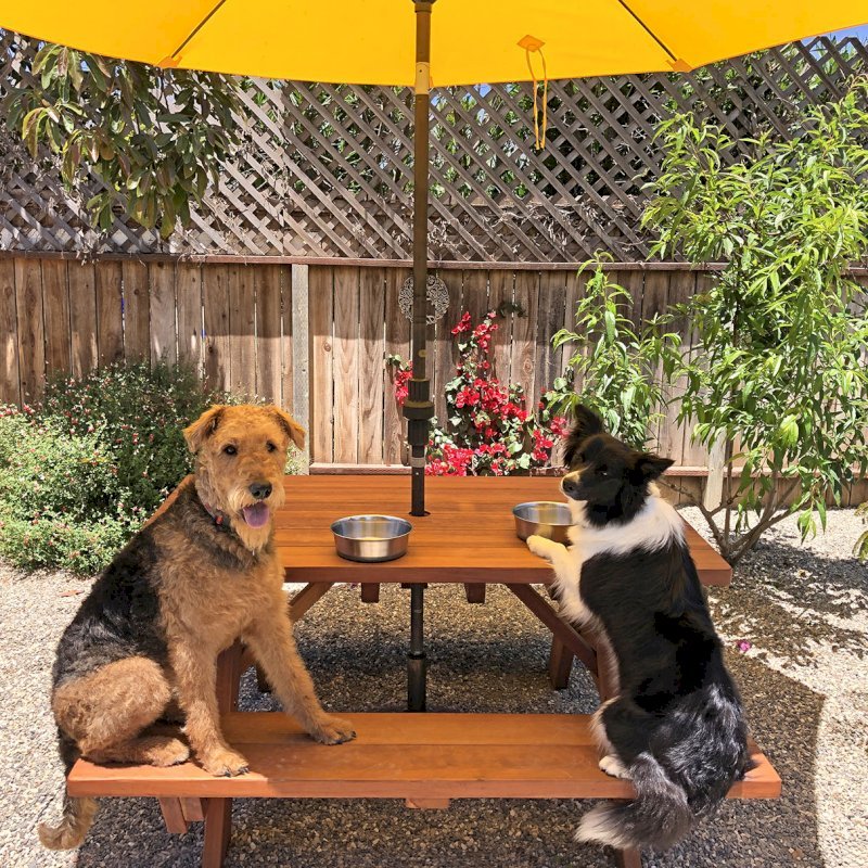 Forever Picnic Table (Attached Benches) (Options: 5' L x 34 ½" W, California Redwood, Standard Tabletop, 2" Umbrella Hole, Rounded Corners, Transparent Premium Sealant). Photo Courtesy of C. Albert of Carpinteria, CA. Forever Picnic Table (Attached Benches) (Options: 5' L x 34 ½" W, California Redwood, Standard Tabletop, 2" Umbrella Hole, Rounded Corners, Transparent Premium Sealant). Photo Courtesy of C. Albert of Carpinteria, CA.