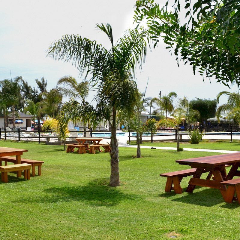 Forever Picnic Tables (Unattached Benches) (Options: 8' L, 34 ½" W, Side Benches, Old-Growth Redwood, 1 Full Length Side Benches Per Side, Standard Tabletop, Slightly Rounded Corners, No Umbrella Hole, Transparent Premium Sealant). Forever Picnic Tables (Unattached Benches) (Options: 8' L, 34 ½" W, Side Benches, Old-Growth Redwood, 1 Full Length Side Benches Per Side, Standard Tabletop, Slightly Rounded Corners, No Umbrella Hole, Transparent Premium Sealant).