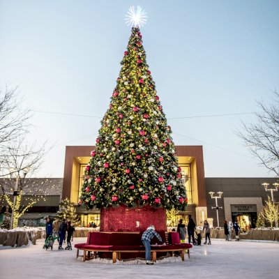 Forever Wood Tree Bench (Options: 15 ft, Mature Redwood, Beverage Ledge, Cushion, No Engraving, Transparent Premium Sealant).  Custom 15' diameter installed at Foothills Mall in Ft. Collins, CO in Nov 2016