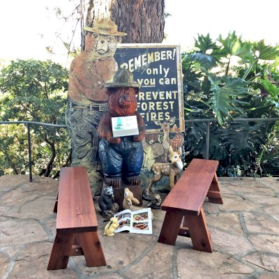 Heritage Wooden Picnic Benches (Options: 3 ft, 17 1/2" H, Forever Style Bench, Slightly Rounded Corners, No Engraving, Transparent Premium Sealant). Photo Courtesy of K. Phillips of San Diego, CA.