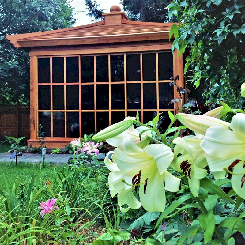 Kikue's Tea House (Options: 14 ft L x 10 ft W, Standard Wood Roof, Douglas-fir, No Electrical Wiring Trim, Interior Decking, Transparent Premium Sealant). Photo Courtesy of G. Haugen of Jamestown, North Dakota. Kikue's Tea House (Options: 14 ft L x 10 ft W, Standard Wood Roof, Douglas-fir, No Electrical Wiring Trim, Interior Decking, Transparent Premium Sealant). Photo Courtesy of G. Haugen of Jamestown, North Dakota.
