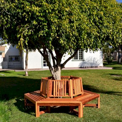 Memorial Natural Redwood Tree Bench (Options: 8 1/2 ft, California Redwood, No Beverage Ledge, No Cushions, Custom Engraving, Transparent Premium Sealant).