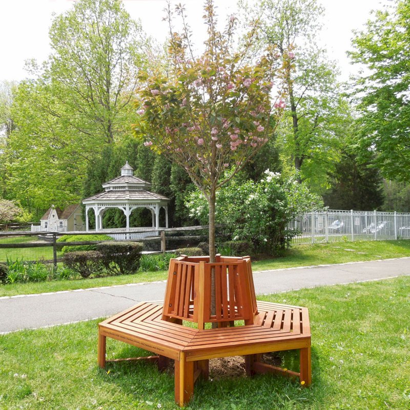 Memorial Natural Redwood Tree Bench (Options: 7 ft, California Redwood, No Beverage Ledge, No Cushions, Custom Engraving, Transparent Premium Sealant). Photo Courtesy of Virginia Sarvalon & Canaan Ridge School of Stamford, Connecticut. Memorial Natural Redwood Tree Bench (Options: 7 ft, California Redwood, No Beverage Ledge, No Cushions, Custom Engraving, Transparent Premium Sealant). Photo Courtesy of Virginia Sarvalon & Canaan Ridge School of Stamford, Connecticut.