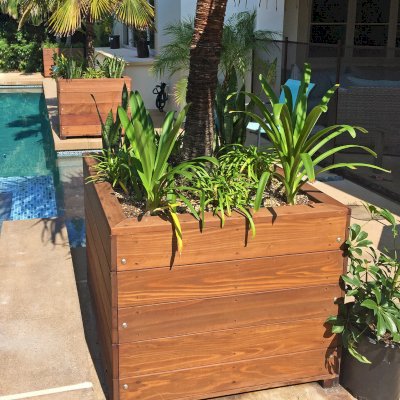 Mendocino Planters (Options: 36" L, 36" W x 30" H, Mature Redwood, 1 3/4-inch Feet, No Trellis, Interior and Exterior of Box with Sealant (No Growing Vegetables), Coffee-Stain Premium Sealant). Photo Courtesy of P. Schissler of San Clemente, California.