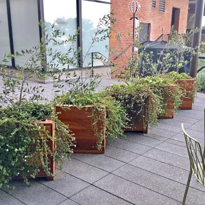 Mendocino Planters (Options: 24" L, 24" W x 24" H, California Redwood, 1 3/4-inch Feet, No Trellis, Interior and Exterior of Box with Sealant (No Growing Vegetables), Transparent Premium Sealant). Photo Courtesy of Waxman's Pizzeria in Ghirardelli Square, 900 North Point Street, San Francisco, CA, 94109.