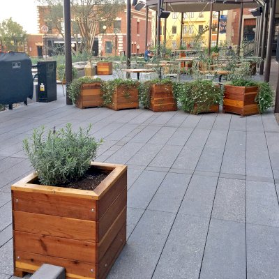 Mendocino Planters (Options: 24" L, 24" W x 24" H, California Redwood, 1 3/4-inch Feet, No Trellis, Interior and Exterior of Box with Sealant (No Growing Vegetables), Transparent Premium Sealant). Photo Courtesy of Waxman's Pizzeria in Ghirardelli Square, 900 North Point Street, San Francisco, CA, 94109.