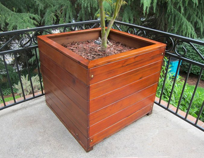 Mendocino Planters (Options: 36" L, 36" W x 36" H, Mature Redwood, 1 3/4-inch Feet, No Trellis, No Growing Vegetables, Transparent Premium Sealant). Photo Courtesy of Dave H. of Vancouver, WA. Mendocino Planters (Options: 36" L, 36" W x 36" H, Mature Redwood, 1 3/4-inch Feet, No Trellis, No Growing Vegetables, Transparent Premium Sealant). Photo Courtesy of Dave H. of Vancouver, WA.
