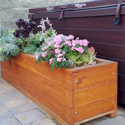 Custom Mendocino Planter (Options: 60' L x 18' W x 18" H, California Redwood, Interior and Exterior of Box With Sealant, Transparent Premium Sealant). Photo Taken 2 Years After Installation. Photo Courtesy of J. Fleming of Inglewood, California.