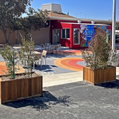 Napa PlantersNapa Planters (Options: 48" L x 24" W x 24" H, California Redwood, 1-inch Feet, Transparent Premium Sealant). Photo Taken 1 Year After Installation. Photo Courtesy of D. Frans of Shafter, CA.