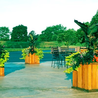 Napa Planters (Options: 24" L x 24" W x 24" H & 96" L x 24" W x 24" H, Mature Redwood, No Base, No Trellis, Interior and Exterior of Box with Sealant (No Growing Vegetables), Transparent Premium Sealant). Photo Courtesy of Shane Ritchie of Schaumburg, Illinois.