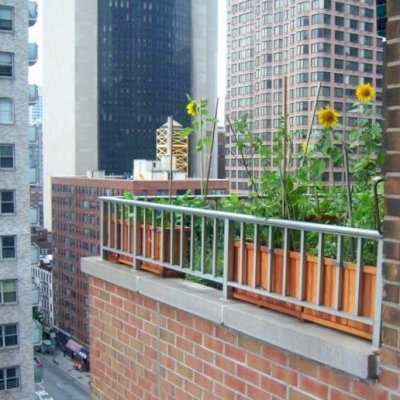 Napa Planters over Manhattan (Options: Mature Redwood, 15 inches tall, various lengths). Photo Courtesy of Scott and Meenakshi Baker of New York City.
