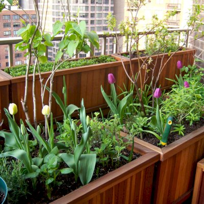 These Beautiful Planter Boxes Over Look New York City.