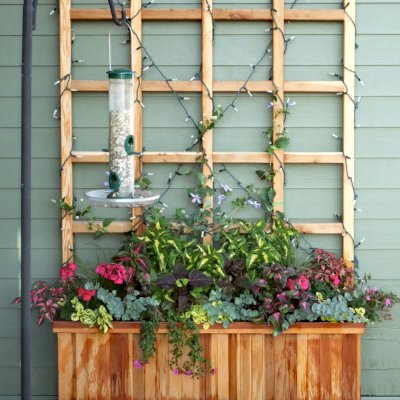 Napa Planters (Options: 48" L x 15" W x 15" H, California Redwood, with Casters, with 5' Tall Trellis, Interior and Exterior of Box with Sealant (No Growing Vegetables), Transparent Premium Sealant). Photo taken 12 years after installation. Photo Courtesy of L. Serebin of Madison, WI.