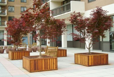 Large Wooden Planters Forever Redwood, Wooden Tree Planter
